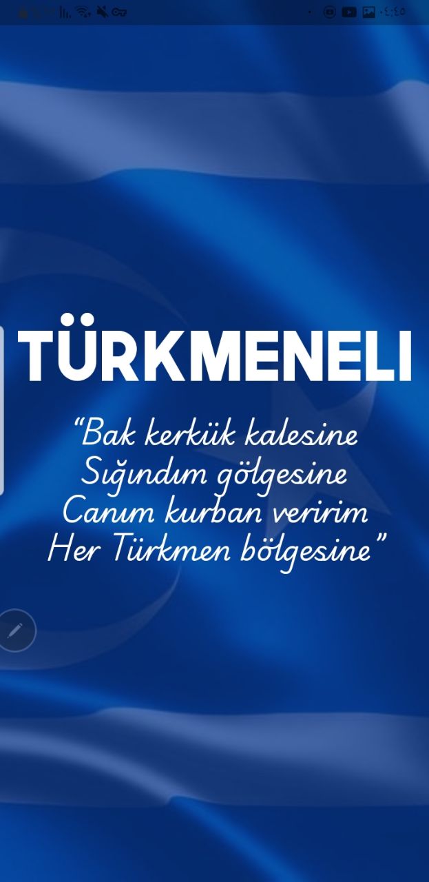 Türkmeneli mobile platform interface